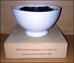 2009  Tarrega Ciutat Gegantera.jpg