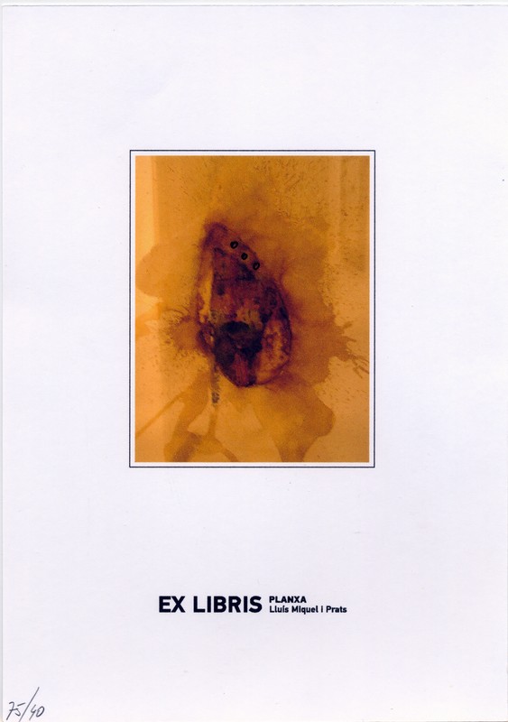 210x145mm_lluis_miquel_prats.jpg